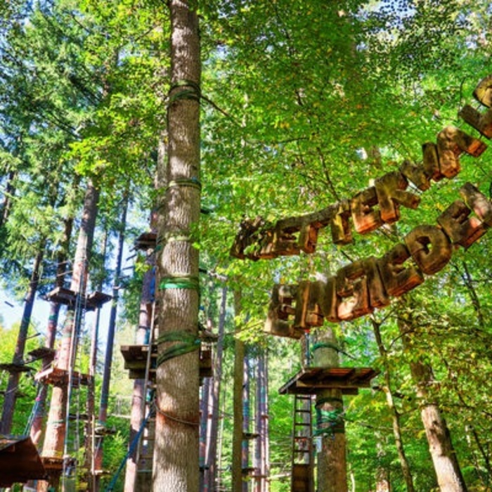 Kletterwald Einsiedel Kletterwald Einsiedel