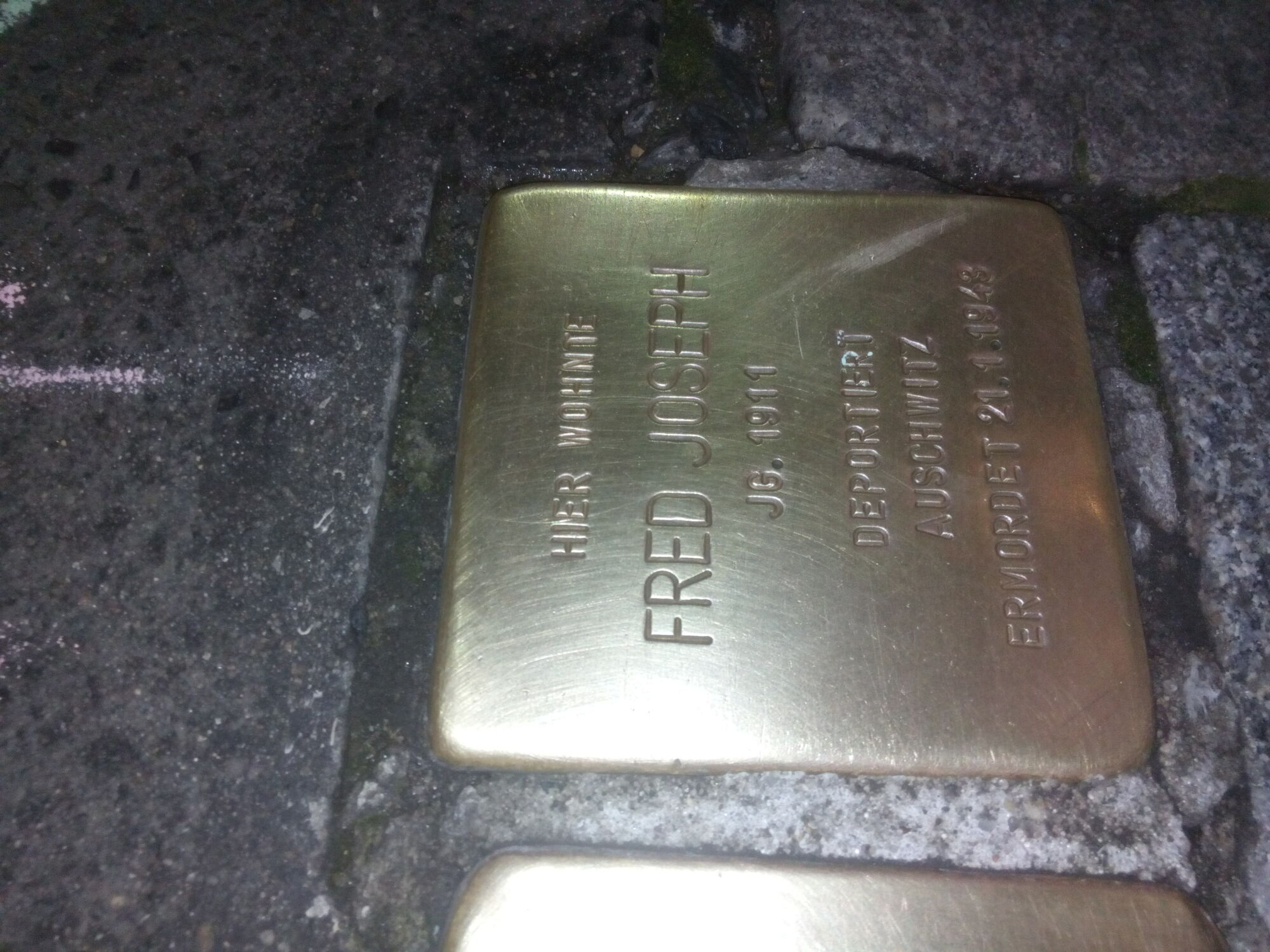 Bilder von der Pfadi-Stolperstein-Putzaktion